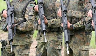 Rufe nach Pflichtdienst bei Litauen-Brigade