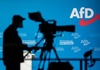 AfD-Vizechef fordert anderen Umgang der Partei mit Verwandtenaffäre