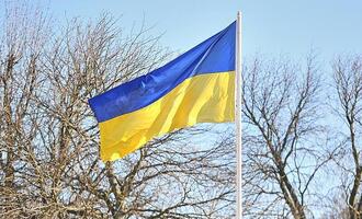 Solidaritäts-Flaggen für Ukraine schon am 23. Februar