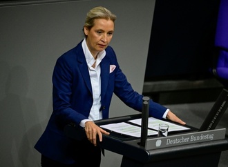 AfD-Verwandtenaffäre: Fraktion offen für Gesetzesverschärfung