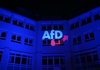 Beschäftigung von Partner - AfD-Abgeordnete aus Landesgruppe ausgeschlossen