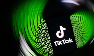 Wissenschaftler fordern Moratorium für Altersprüfung im Internet