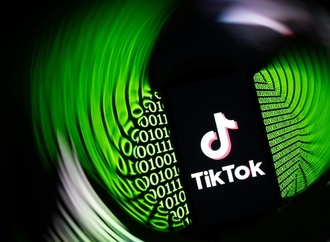 Wissenschaftler fordern Moratorium für Altersprüfung im Internet