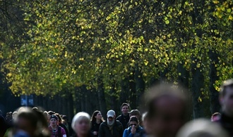 Stadtbäume können im Sommer mehr CO2 aufnehmen als Autos ausstoßen