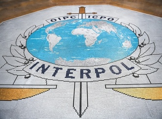 Interpol meldet 60 Festnahmen wegen Kindesmissbrauchs in Mittelamerika