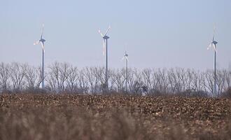 Unternehmen und Grüne starten Appell gegen Energiepolitik
