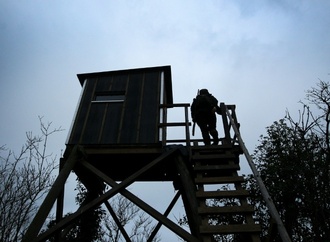 Dutzende Hochsitze in Sachsen zerstört: Razzia bei militanten Tierschützern