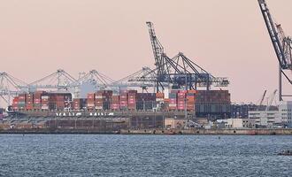 ''Buy European'': SPD will europäische Wirtschaft besser schützen