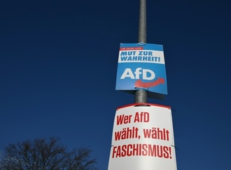 Beschwerde abgewiesen: AfD darf in Gemeinde keine weiteren Plakate aufhängen