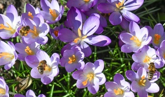 Studie: Frühjahrsmüdigkeit durch Daten nicht belegbar - eher kulturelles Phänomen