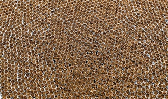 Drei Festnahmen bei Durchsuchungen wegen millionenschweren  Zigarettenschmuggels