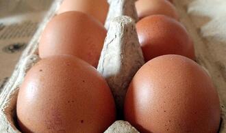 Geflügelwirtschaft sieht knappes Eier-Angebot zu Ostern