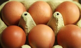 Eierproduktion 2025 leicht gestiegen