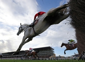 Mikrochip in der Suppe entdeckt: Rennpferd endete in türkischer Suppenküche