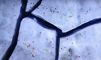 Spülschwämme sind schuld: Abwasch per Hand setzt tonnenweise Mikroplastik frei