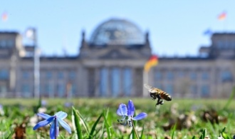 Bundestag berät erstmals über Spritpreis-Gesetz