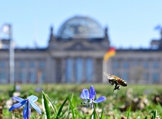 Bundestag berät erstmals über Spritpreis-Gesetz