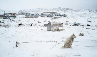 Bericht: Dänemark schickte nach Trump-Drohung Elitetruppen nach Grönland