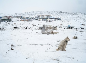 Bericht: Dänemark schickte nach Trump-Drohung Elitetruppen nach Grönland