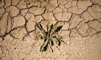 Fehlende Niederschläge: Wasserspeicherung in Deutschland nimmt ab