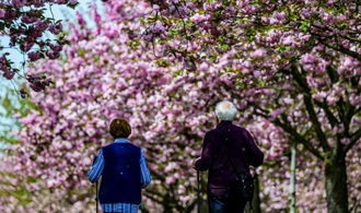 Union kritisiert neue Riester-Rente - kurz vor Entscheidung im Bundestag