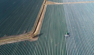 Erntemenge und Anbaufläche von Spargel in Deutschland rückläufig