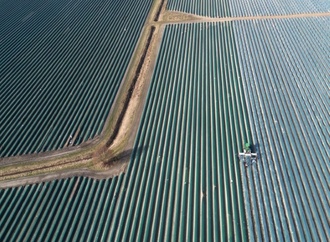 Löhne für Beschäftigte in der Landwirtschaft sollen um rund zehn Prozent steigen