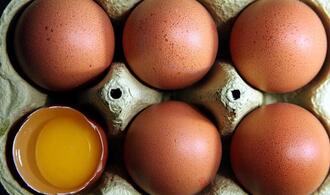 Niederlande bleiben Hauptlieferant für Eierimporte nach Deutschland