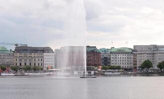 Erster Wolfsangriff in Deutschland seit Wiederansiedlung