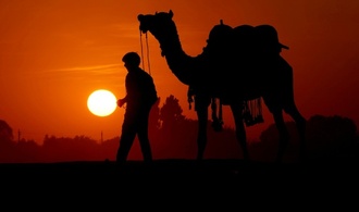 Mit Kamelen über Waldpfade: Alkoholschmuggler in Indien geschnappt