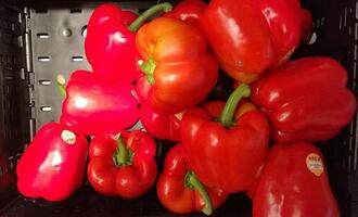 SPD-Wirtschaftsflügel will Mehrwertsteuersenkung für gesundes Essen