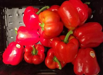 SPD-Wirtschaftsflügel will Mehrwertsteuersenkung für gesundes Essen