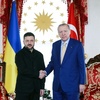 Selenskyj und Erdogan beraten in Istanbul über Ukraine-Krieg und Energiesicherheit