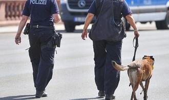 Bundespolizei fehlen Hunderte Sprengstoffhunde
