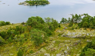 Umfrage: Mehr als jeder Zweite denkt zumindest gelegentlich an Auswanderung