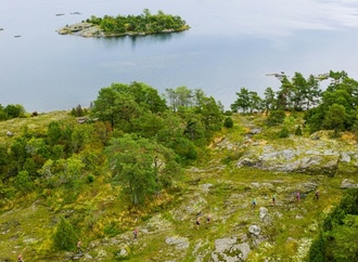 Umfrage: Mehr als jeder Zweite denkt zumindest gelegentlich an Auswanderung