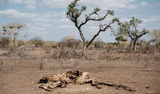 Studie: In vielen Weltregionen droht zunehmende Kombination aus Hitze und Dürren