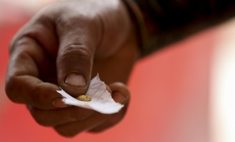 Forderung der USA: Venezuela genehmigt Investitionen privater Bergbaukonzerne