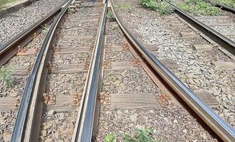 Kosten der Deutschen Bahn für Unkrautvernichtung steigen drastisch