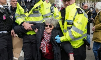 Mehr als 90 Festnahmen bei pro-palästinensischer Demonstration in London
