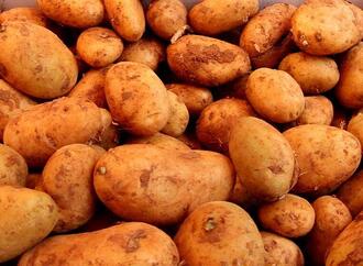 Landwirtschaftliche Erzeugerpreise im Februar deutlich gesunken