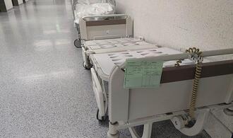 Zahl der FSME- und Borreliose-Todesfälle leicht gestiegen