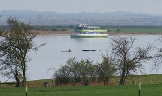 Rettungsversuch für hilflosen Buckelwal in Ostsee auf Freitag verschoben