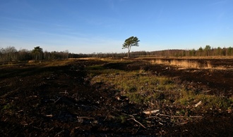 Ziel sind 90.000 Hektar: Förderprogramm für Wiedervernässung von Mooren angekündigt