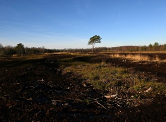 Ziel sind 90.000 Hektar: Förderprogramm für Wiedervernässung von Mooren angekündigt