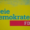 Nordrhein-westfälische FDP stärkt Landeschef Höne mit Wiederwahl Rücken