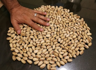 Exporte deutscher Unternehmen in den Iran sinken 2025 um fast ein Viertel