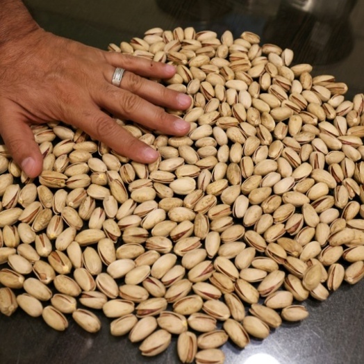 Exporte deutscher Unternehmen in den Iran sinken 2025 um fast ein Viertel