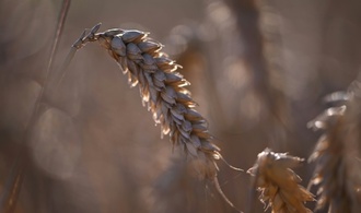 Gericht lehnt Zwangsgeld gegen Bund wegen Nitratbelastung ab
