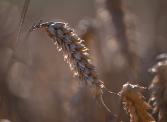 Gericht lehnt Zwangsgeld gegen Bund wegen Nitratbelastung ab